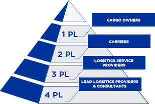 Supply Chain Evolution